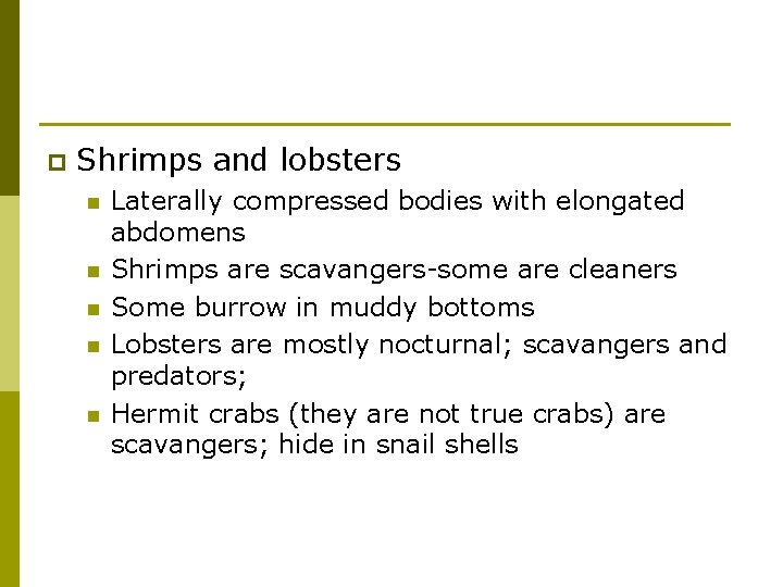 p Shrimps and lobsters n n n Laterally compressed bodies with elongated abdomens Shrimps