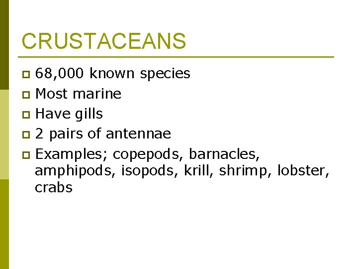 CRUSTACEANS 68, 000 known species p Most marine p Have gills p 2 pairs