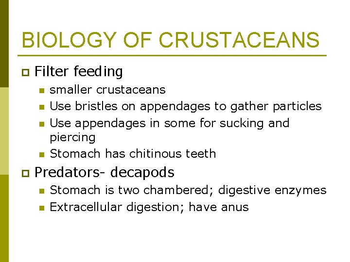 BIOLOGY OF CRUSTACEANS p Filter feeding n n p smaller crustaceans Use bristles on