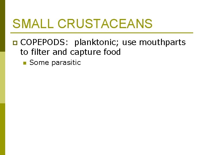 SMALL CRUSTACEANS p COPEPODS: planktonic; use mouthparts to filter and capture food n Some