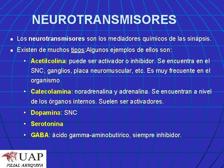 NEUROTRANSMISORES n Los neurotransmisores son los mediadores químicos de las sinápsis. n Existen de