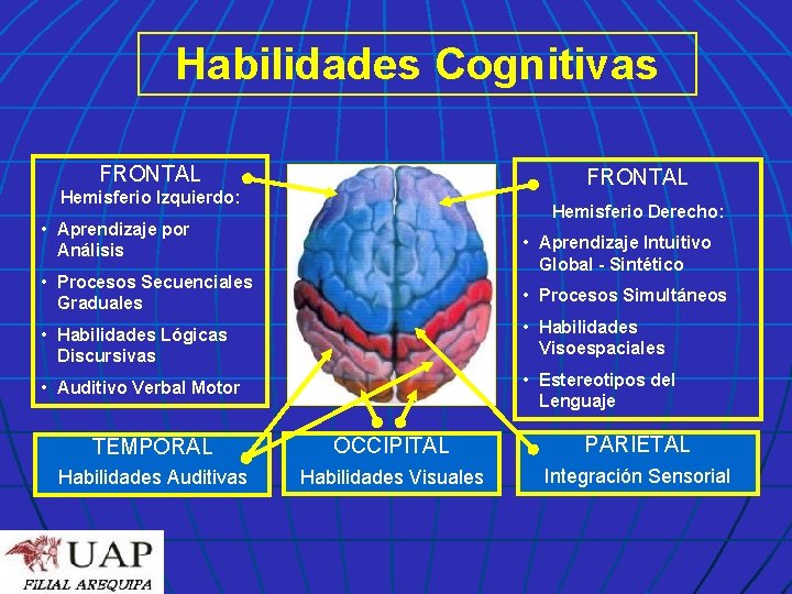 Habilidades Cognitivas FRONTAL Hemisferio Izquierdo: Hemisferio Derecho: • Aprendizaje por Análisis • Aprendizaje Intuitivo