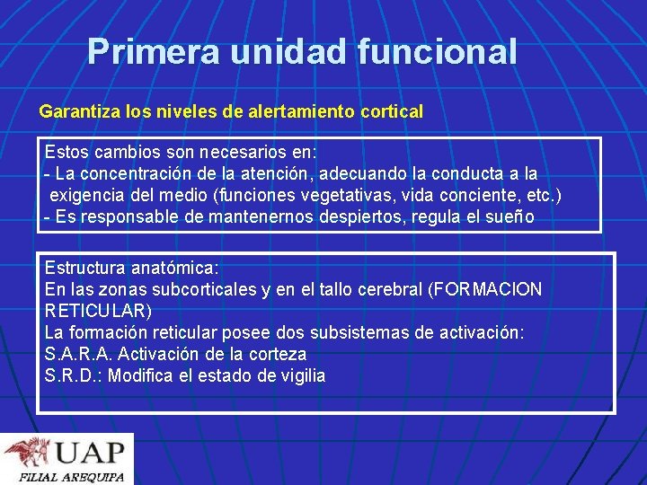 Primera unidad funcional Garantiza los niveles de alertamiento cortical Estos cambios son necesarios en: