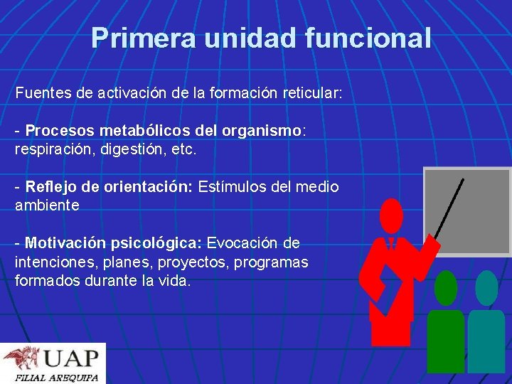 Primera unidad funcional Fuentes de activación de la formación reticular: - Procesos metabólicos del