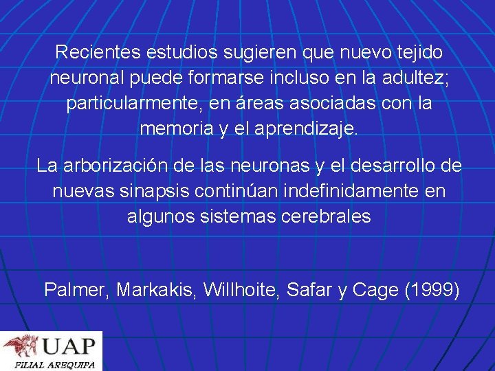 Recientes estudios sugieren que nuevo tejido neuronal puede formarse incluso en la adultez; particularmente,