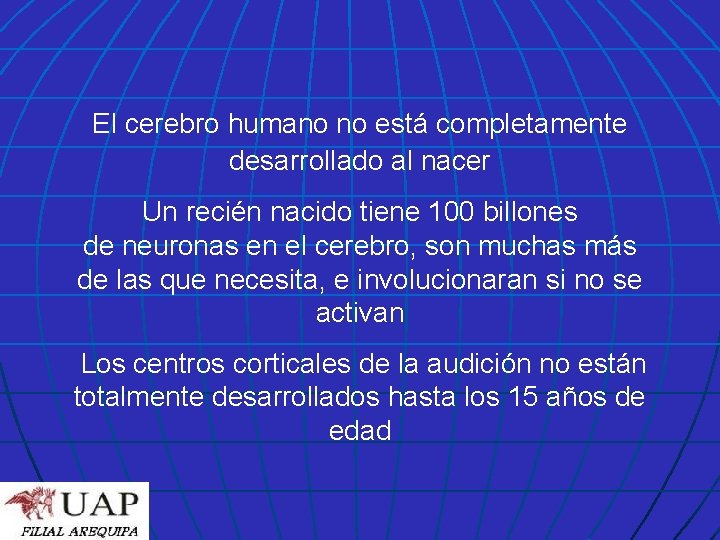 El cerebro humano no está completamente desarrollado al nacer Un recién nacido tiene 100