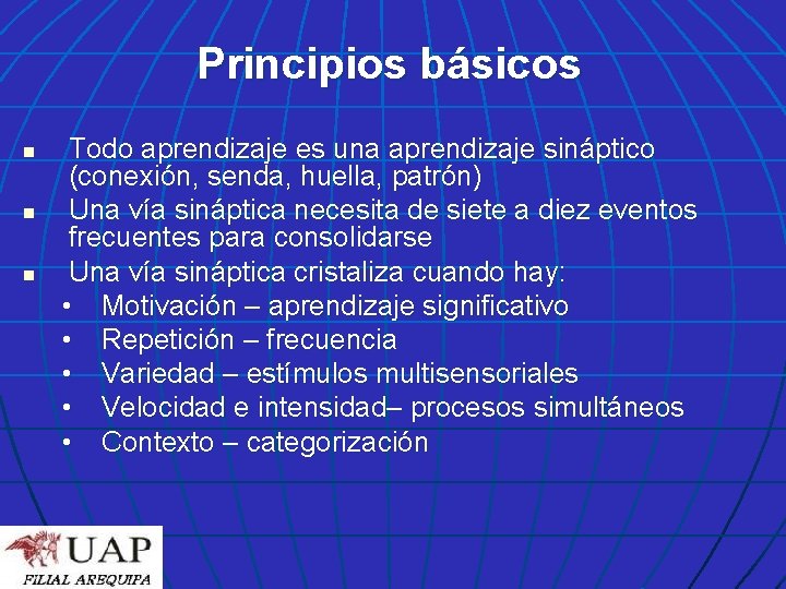 Principios básicos n n n Todo aprendizaje es una aprendizaje sináptico (conexión, senda, huella,