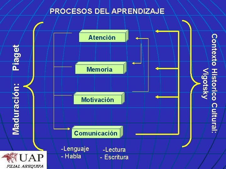 PROCESOS DEL APRENDIZAJE Piaget Maduración: Memoria Motivación Comunicación -Lenguaje - Habla -Lectura - Escritura