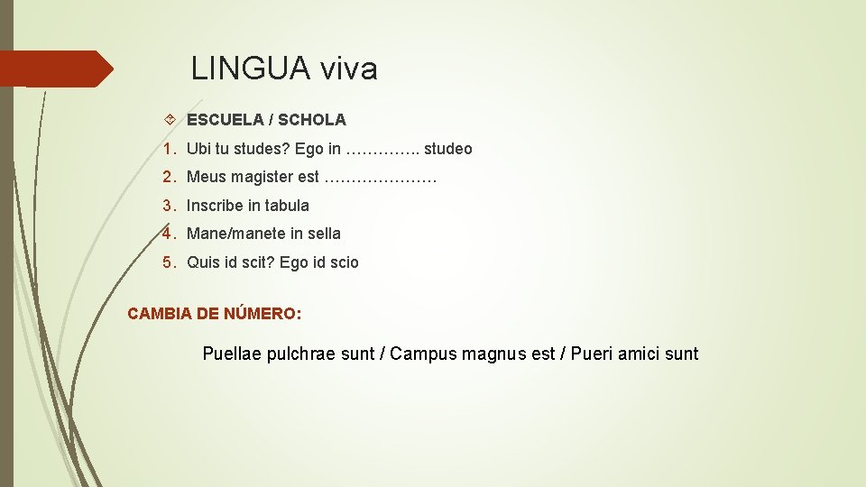 LINGUA viva ESCUELA / SCHOLA 1. Ubi tu studes? Ego in …………. . studeo