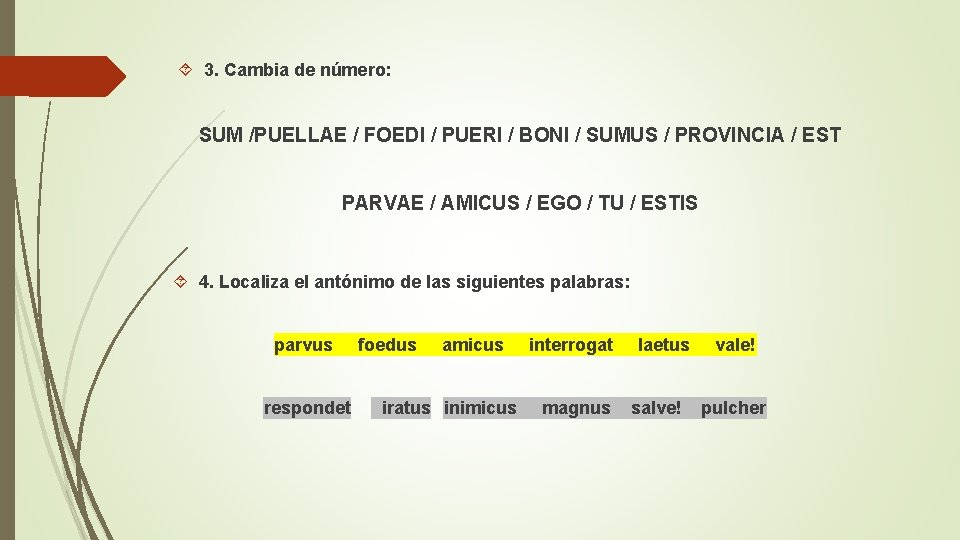  3. Cambia de número: SUM /PUELLAE / FOEDI / PUERI / BONI /