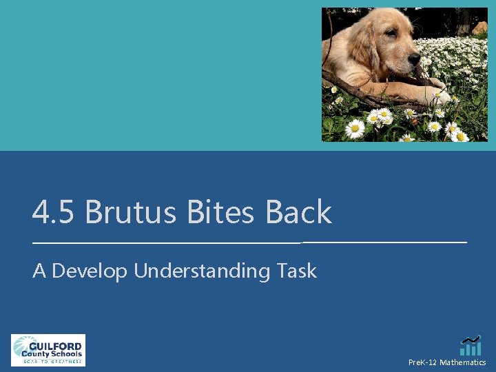 4. 5 Brutus Bites Back A Develop Understanding Task Pre. K-12 Mathematics 