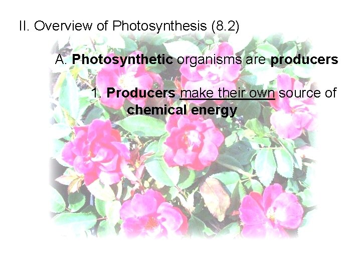 II. Overview of Photosynthesis (8. 2) A. Photosynthetic organisms are producers 1. Producers make