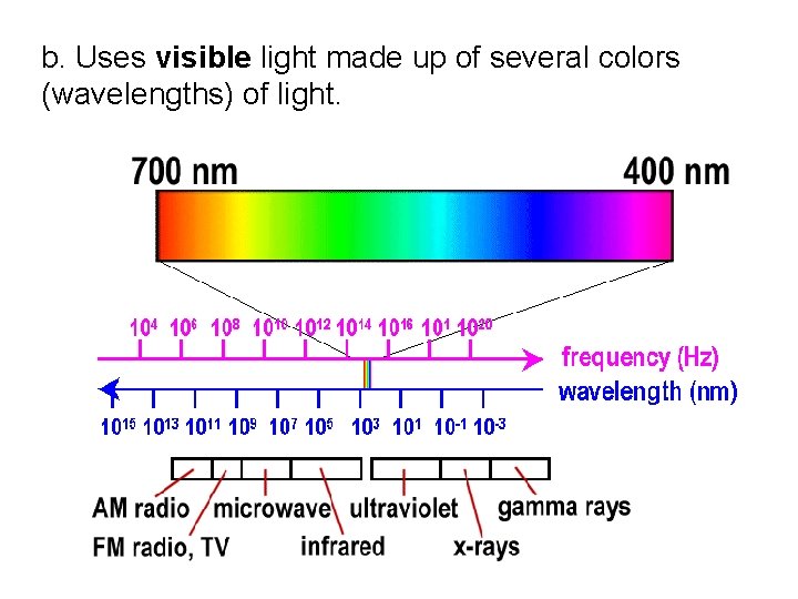 b. Uses visible light made up of several colors (wavelengths) of light. 