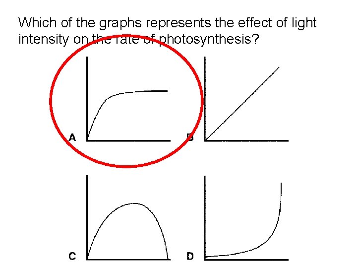 Which of the graphs represents the effect of light intensity on the rate of