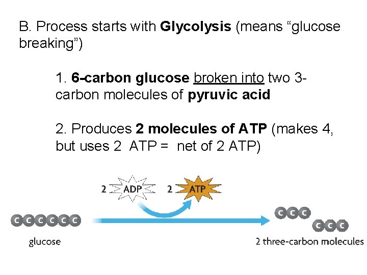 B. Process starts with Glycolysis (means “glucose breaking”) 1. 6 -carbon glucose broken into