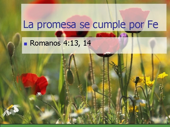 La promesa se cumple por Fe n Romanos 4: 13, 14 