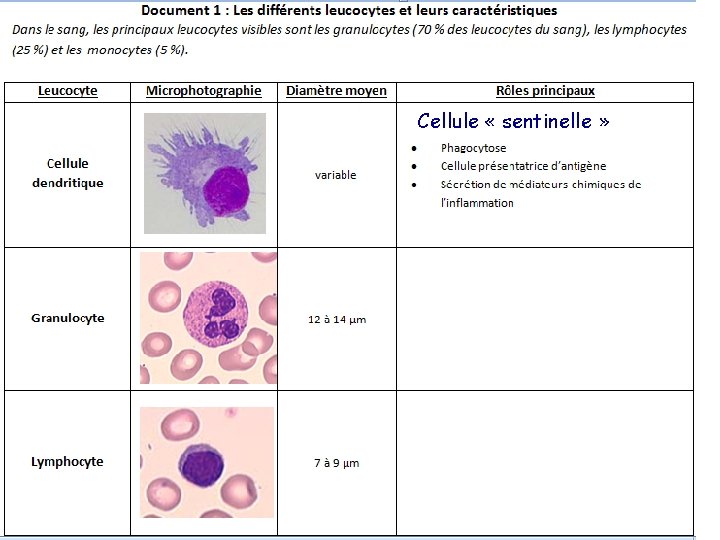 Cellule « sentinelle » 