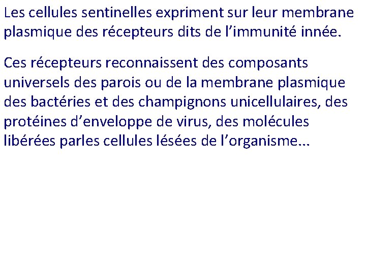 Les cellules sentinelles expriment sur leur membrane plasmique des récepteurs dits de l’immunité innée.