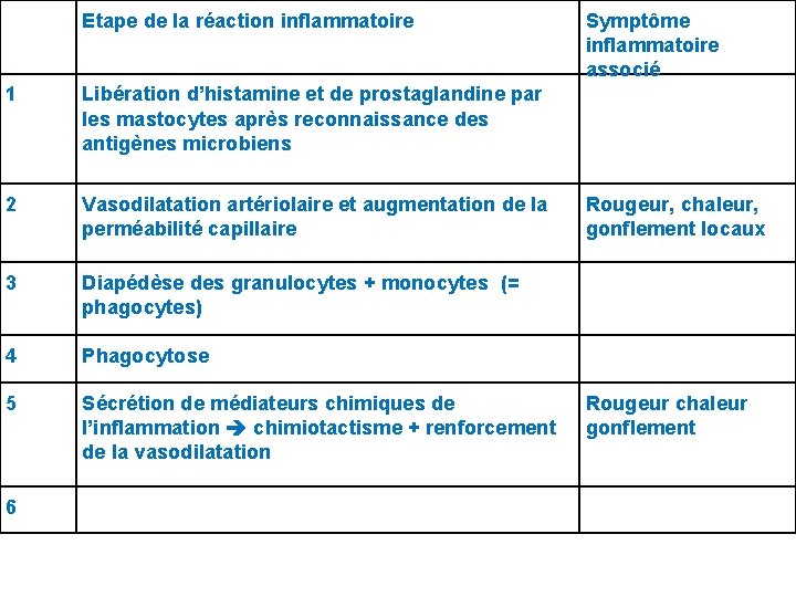 Etape de la réaction inflammatoire 1 Libération d’histamine et de prostaglandine par les mastocytes