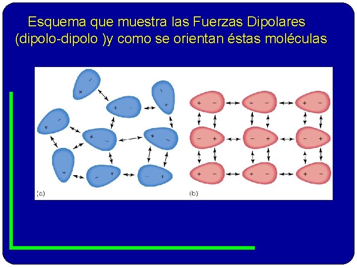 Esquema que muestra las Fuerzas Dipolares (dipolo-dipolo )y como se orientan éstas moléculas Insert