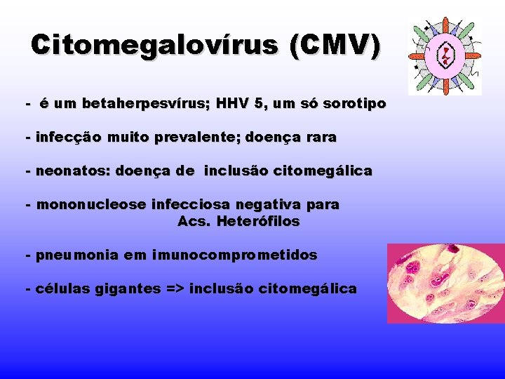 Citomegalovírus (CMV) - é um betaherpesvírus; HHV 5, um só sorotipo - infecção muito