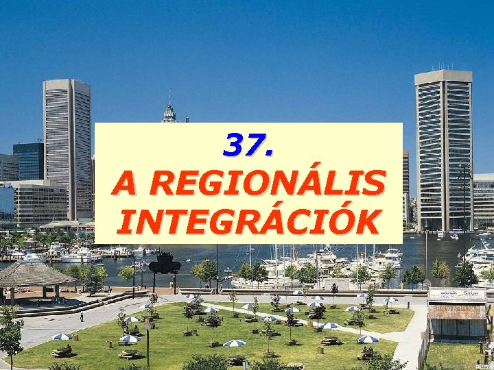 37. A REGIONÁLIS INTEGRÁCIÓK 