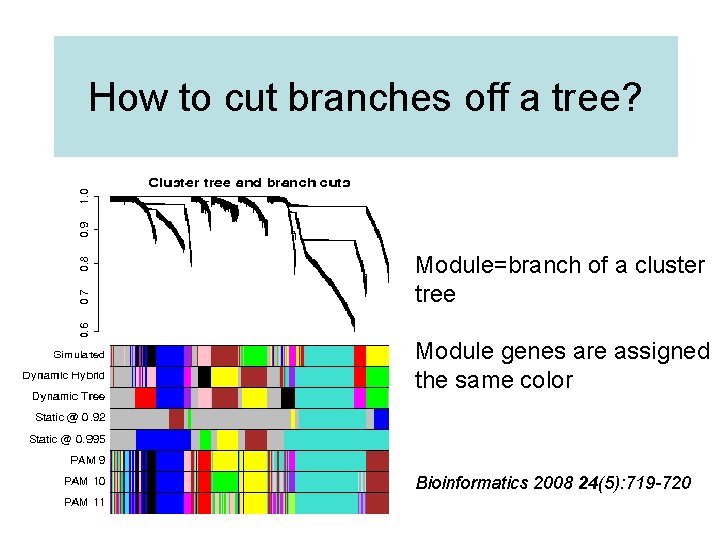 How to cut branches off a tree? Module=branch of a cluster tree Module genes