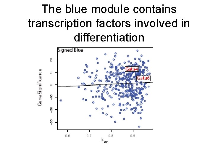 The blue module contains transcription factors involved in differentiation 