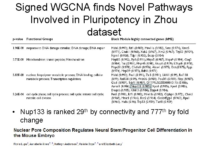 Signed WGCNA finds Novel Pathways Involved in Pluripotency in Zhou dataset • Nup 133