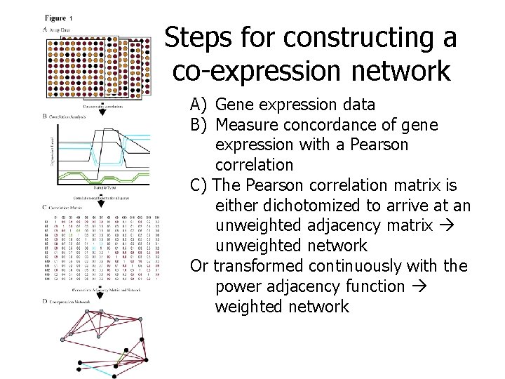 Steps for constructing a co-expression network A) Gene expression data B) Measure concordance of