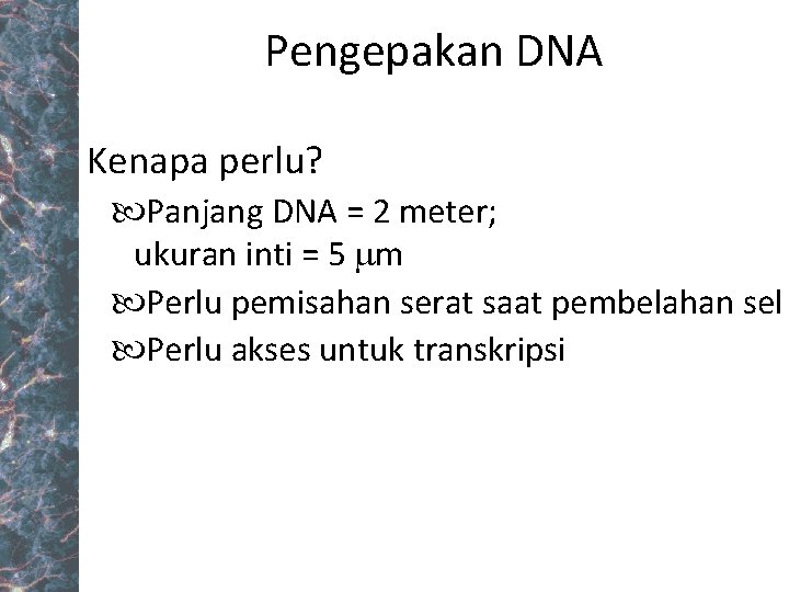 Pengepakan DNA Kenapa perlu? Panjang DNA = 2 meter; ukuran inti = 5 mm