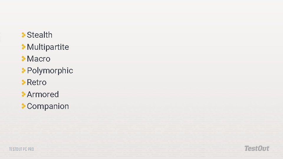 Stealth Multipartite Macro Polymorphic Retro Armored Companion TESTOUT PC PRO 