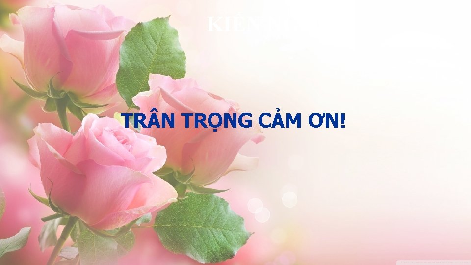 KIẾN NGHỊ TR N TRỌNG CẢM ƠN! 