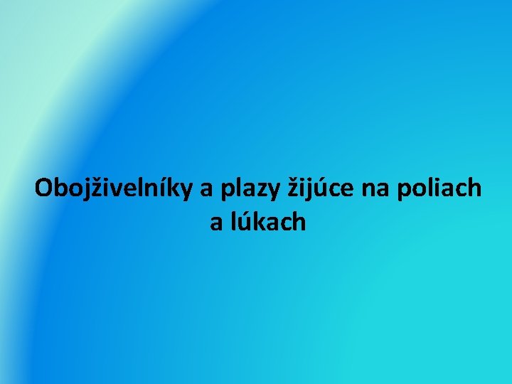 Obojživelníky a plazy žijúce na poliach a lúkach 