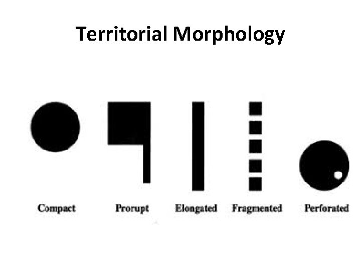 Territorial Morphology 