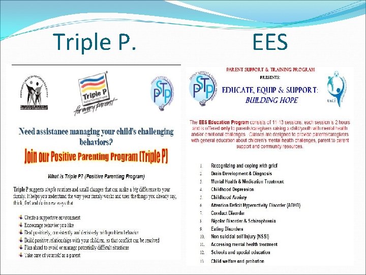 Triple P. EES 