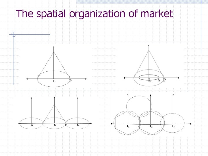 The spatial organization of market 