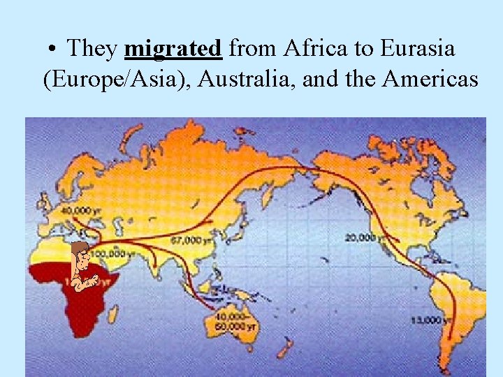  • They migrated from Africa to Eurasia (Europe/Asia), Australia, and the Americas 