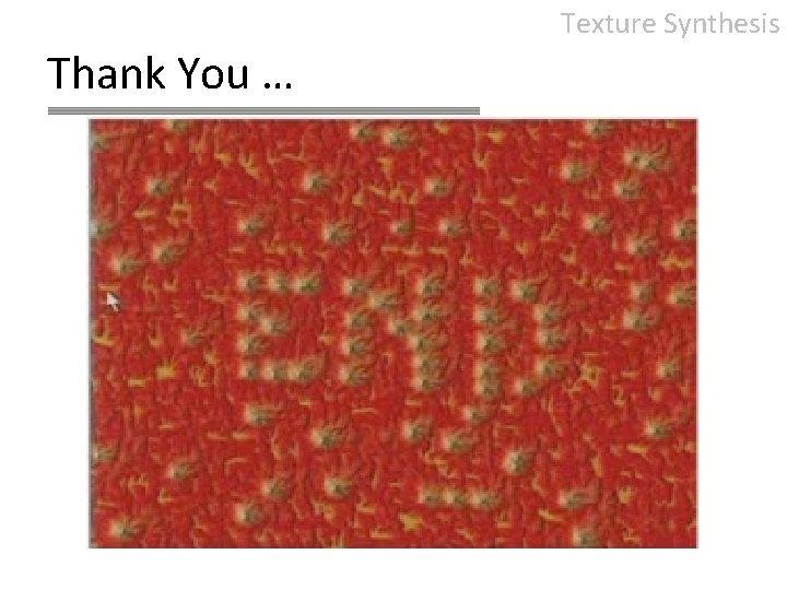 Texture Synthesis Thank You … 