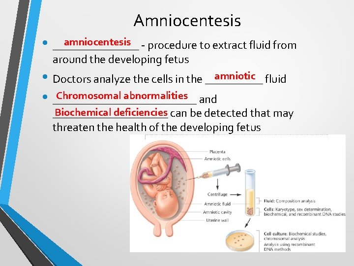 Amniocentesis amniocentesis - procedure to extract fluid from • ________ around the developing fetus