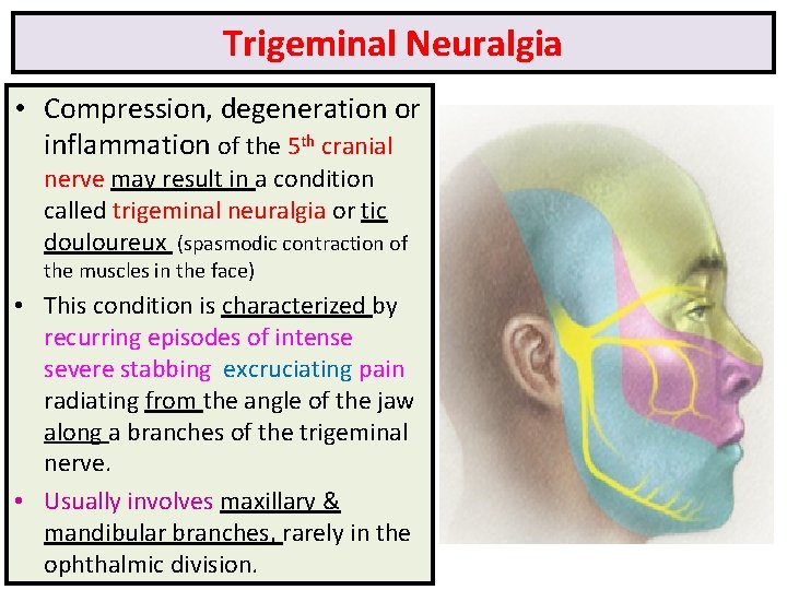 Trigeminal Neuralgia • Compression, degeneration or inflammation of the 5 th cranial nerve may