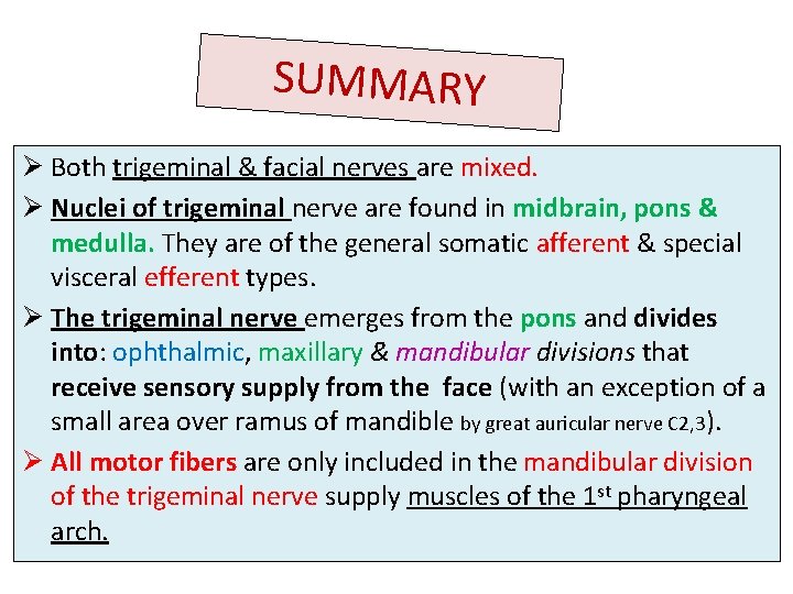 SUMMARY Ø Both trigeminal & facial nerves are mixed. Ø Nuclei of trigeminal nerve