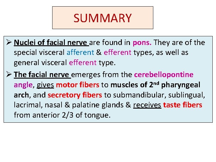 SUMMARY Ø Nuclei of facial nerve are found in pons. They are of the