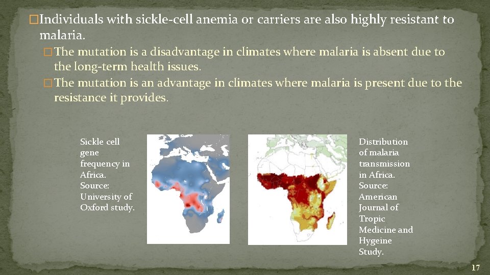 �Individuals with sickle-cell anemia or carriers are also highly resistant to malaria. � The