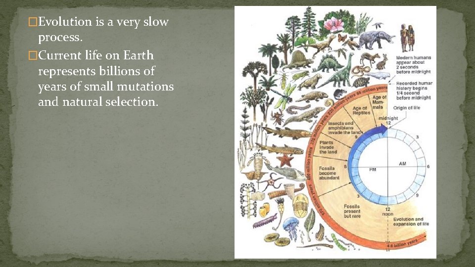 �Evolution is a very slow process. �Current life on Earth represents billions of years