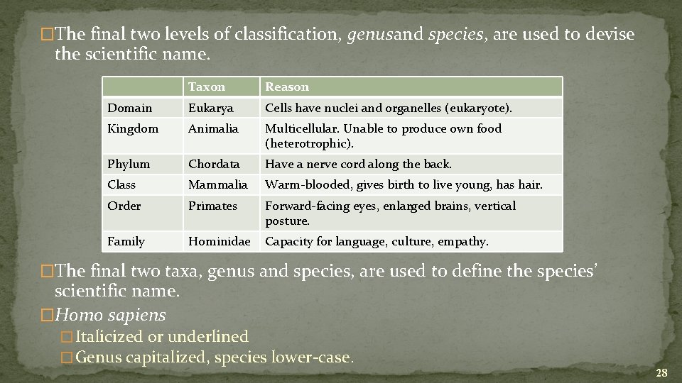 �The final two levels of classification, genusand species, are used to devise the scientific