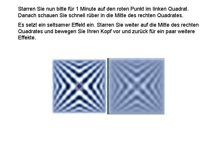 Starren Sie nun bitte für 1 Minute auf den roten Punkt im linken Quadrat.