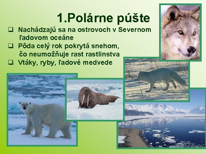1. Polárne púšte Nachádzajú sa na ostrovoch v Severnom ľadovom oceáne Pôda celý rok
