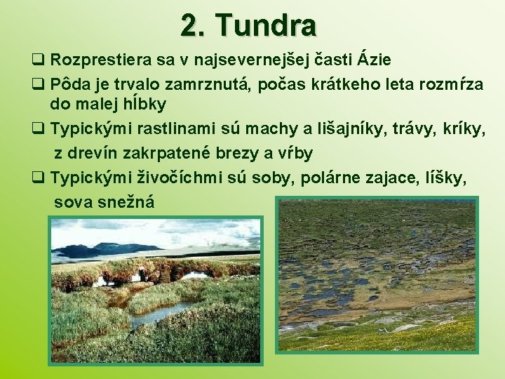 2. Tundra Rozprestiera sa v najsevernejšej časti Ázie Pôda je trvalo zamrznutá, počas krátkeho