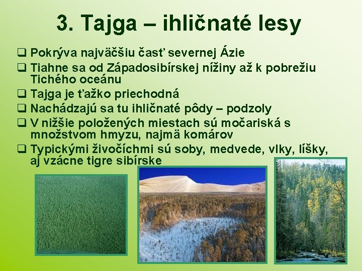 3. Tajga – ihličnaté lesy Pokrýva najväčšiu časť severnej Ázie Tiahne sa od Západosibírskej